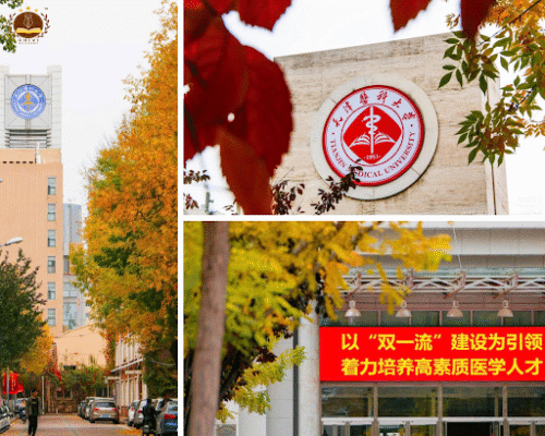7 Lý do chọn Đại học Y khoa Thiên Tân – Trường Y hàng đầu Trung Quốc 1 đại học y khoa thiên tân