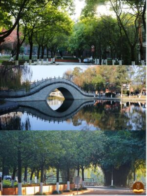 khuôn viên trường