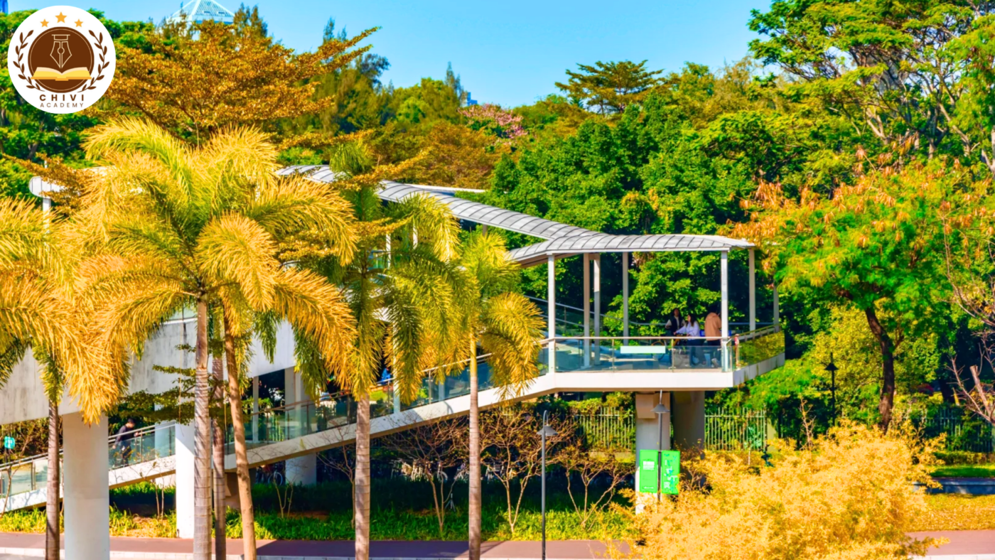 Đại học Thâm Quyến