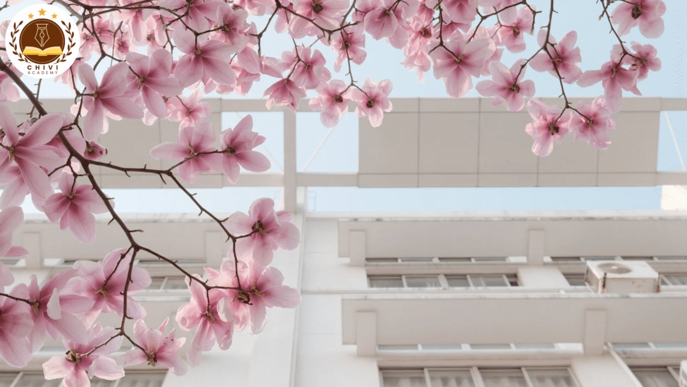 Hoa anh đào tại Đại học Sư phạm Nam Kinh