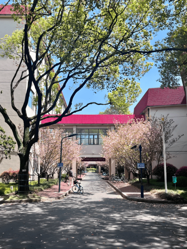 Đại học Tài chính và Kinh tế Thượng Hải (上海财经大学 – Shanghai University of Finance and Economics)